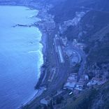 The Things I Tell You