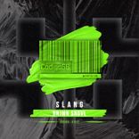 Portada para "Slang"