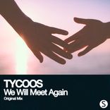 Portada para "We Will Meet Again"