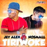Artwork voor "Tiriwoke"