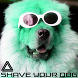 Portada para "Shave Your Dog"