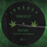 Artwork for "Terrified"