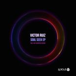 Artwork für "Soul Seek"