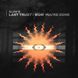 Artwork for "Last Trust \ Now You're Gone"