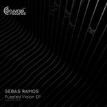 Artwork for "Puzzled Vision"