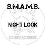 Artwork for "Night Look"