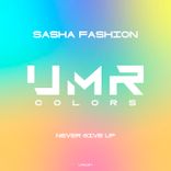 Artwork for "Never Give Up"