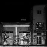 Artwork for "Vazzieri"