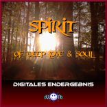 Artwork für "Spirit of Deep Love and Soul"
