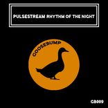 Artwork for "Rhythm of the Night"