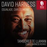 Artwork for "Tambores Te Llaman (David Harness Remix)"