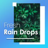 Artwork for "Fresh Rain Drops"