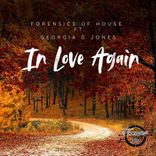 Artwork for "In Love Again"