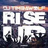Artwork for "Rise Up"