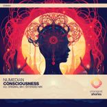 Artwork voor "Consciousness"