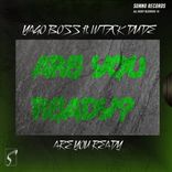 Artwork for "Are You Ready"