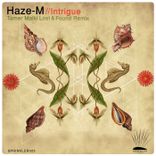 Artwork for "Intrigue (Tamer Malki Lost & Found Remix)"