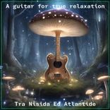Artwork voor "A guitar for true relaxation"