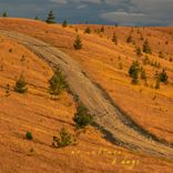 Artwork voor "8 Days"