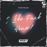 Artwork voor "I Like Punk House!"