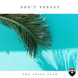 Artwork voor "Don't Forget"