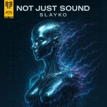Artwork for "Not Just Sound"
