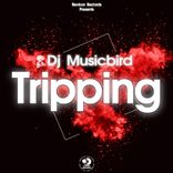 Artwork for "Tripping"