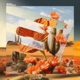 Artwork for "Centaurus"