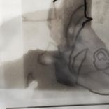 Portada para "California"