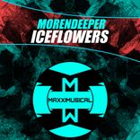 Artwork for "Iceflowers"