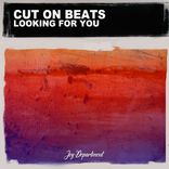 Portada para "Looking for You"