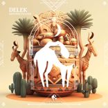 Artwork voor "Delek"