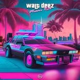 Artwork for "Miami Vice"