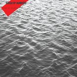 Portada para "Believer"