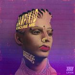 Artwork for "Chaka (Primo Remix)"