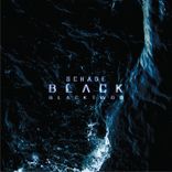 Artwork for "Blacktwoo"