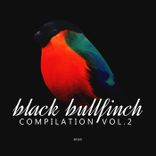 Artwork voor "Black Bullfinch Compilation, Vol. 2"