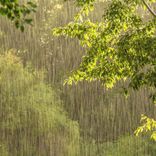 Artwork for "Rain on a Tent"