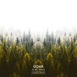 Portada para "In My Mind (Damaui & Sick Trumpet Remix)"