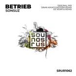 Artwork for "Sonsuz"