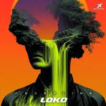 Artwork voor "Loko"