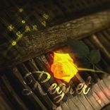 Artwork für "Regret"