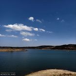 Artwork for "Wonderland"