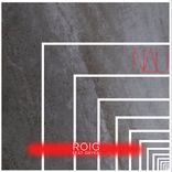 Artwork for "Roig"