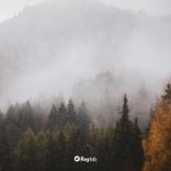 Artwork for "Prāna"