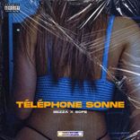 Artwork für "Téléphone sonne"
