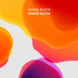 Artwork für "Snake Kicks"