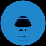 Artwork voor "UNLEASH"