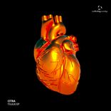 Artwork für "Tsuki"