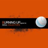 Artwork for "Burning up"